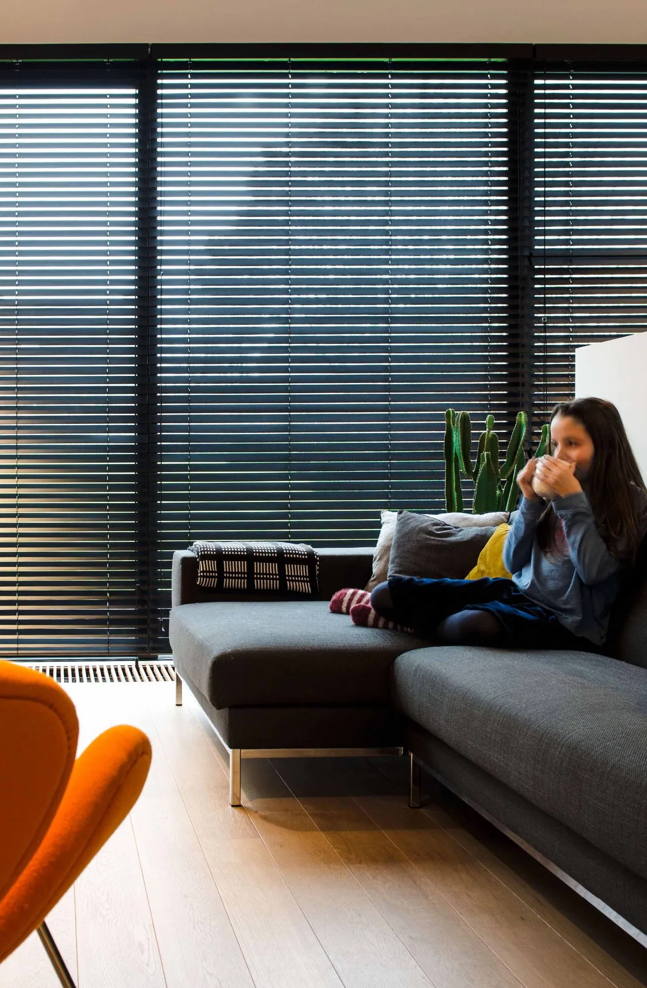 Zwarte jaloezieën voor een grote raampartij in een moderne woonkamer
